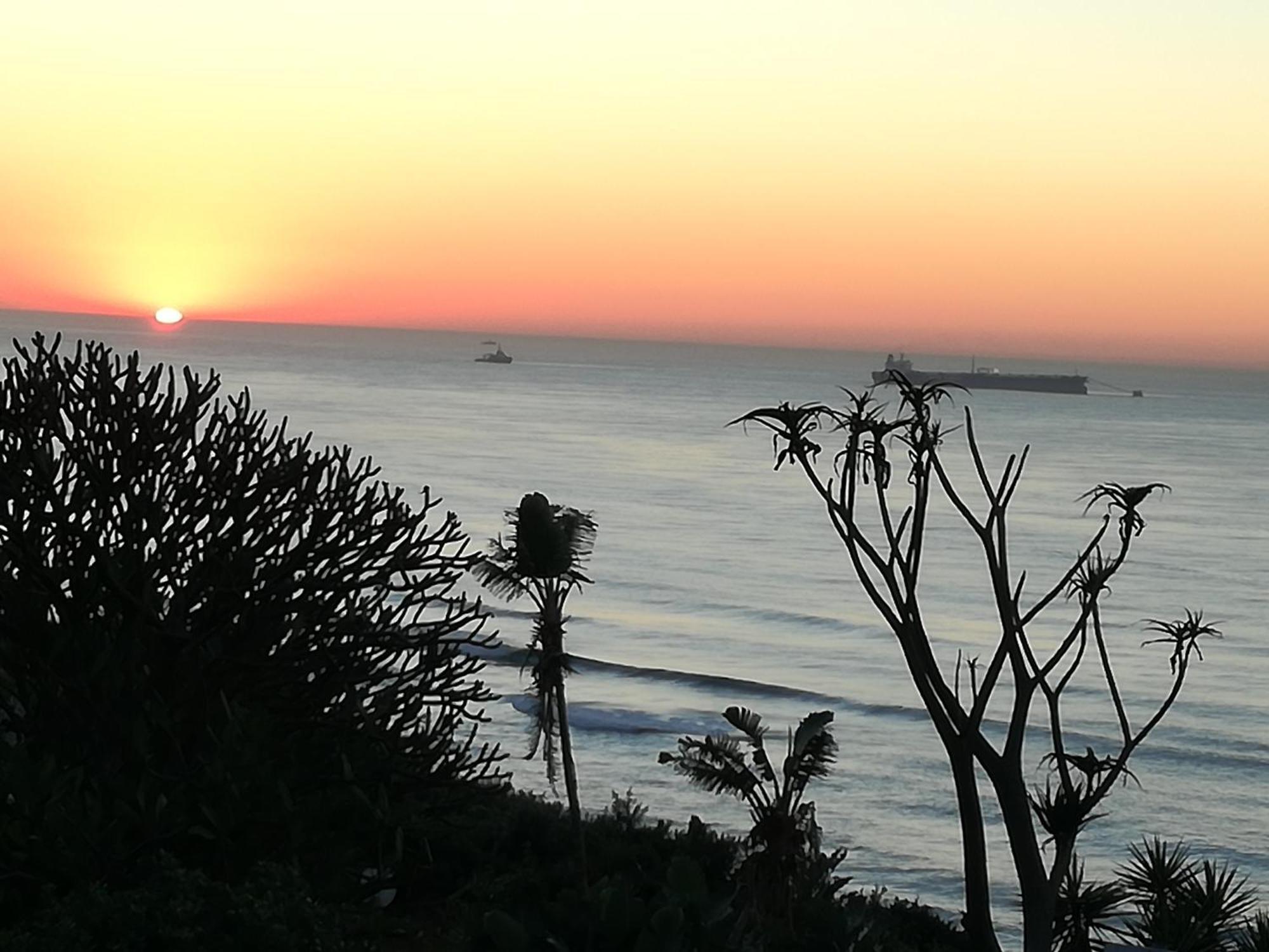 Dolphin Point B&B Durban Exteriör bild