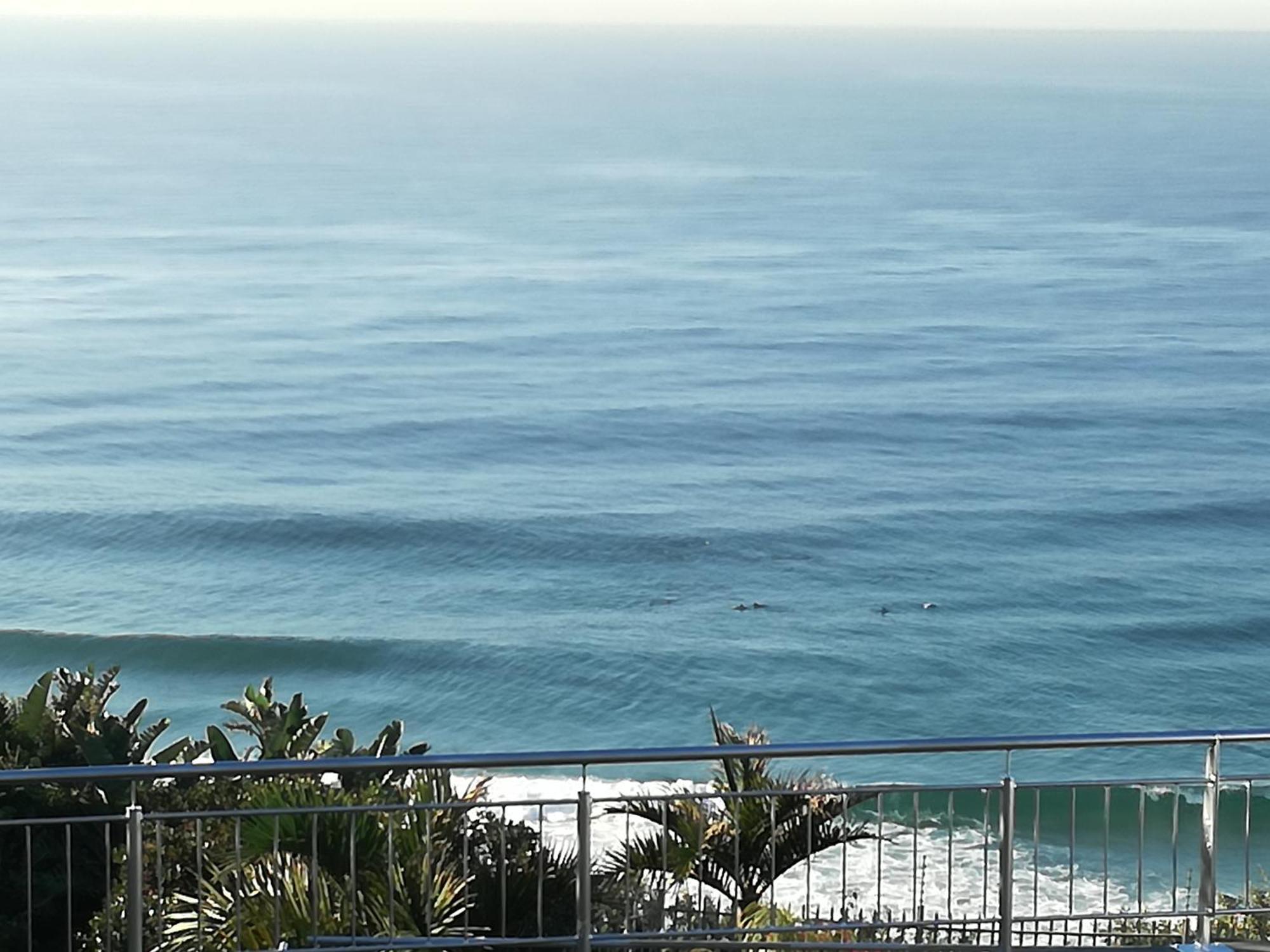 Dolphin Point B&B Durban Exteriör bild